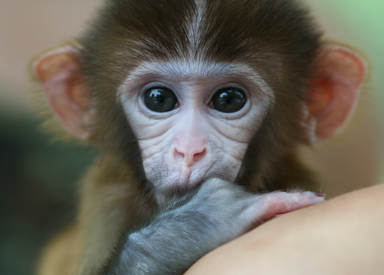 Ϊʲôӵû뵽Ϊԭ