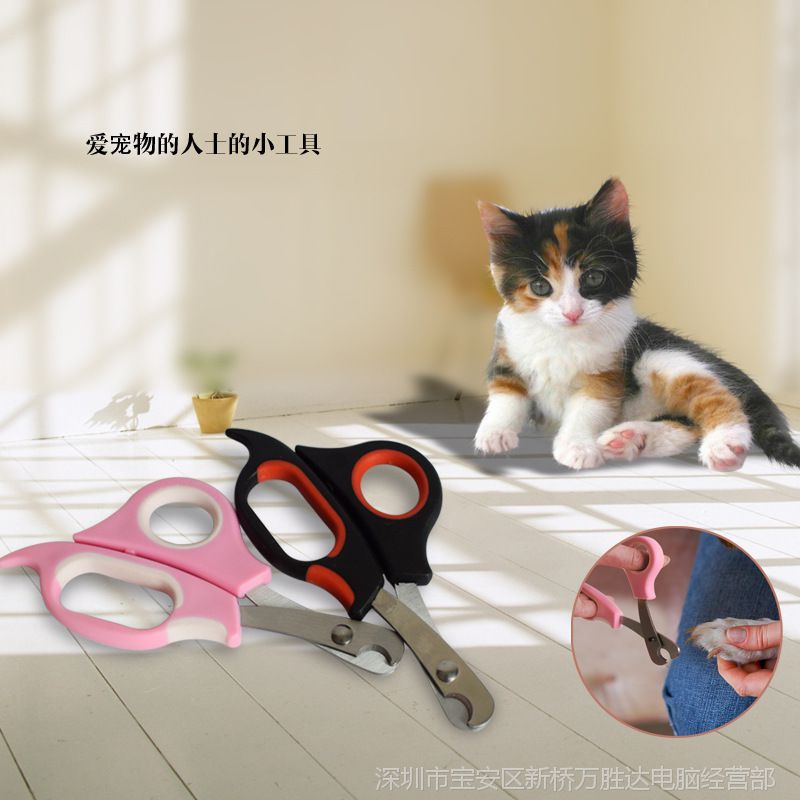 θָףôóϼָףҲõˣ