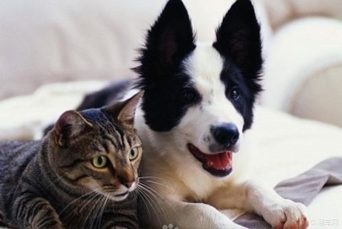 θָףôóϼָףҲõˣ