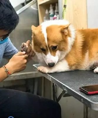 θָףôóϼָףҲõˣ