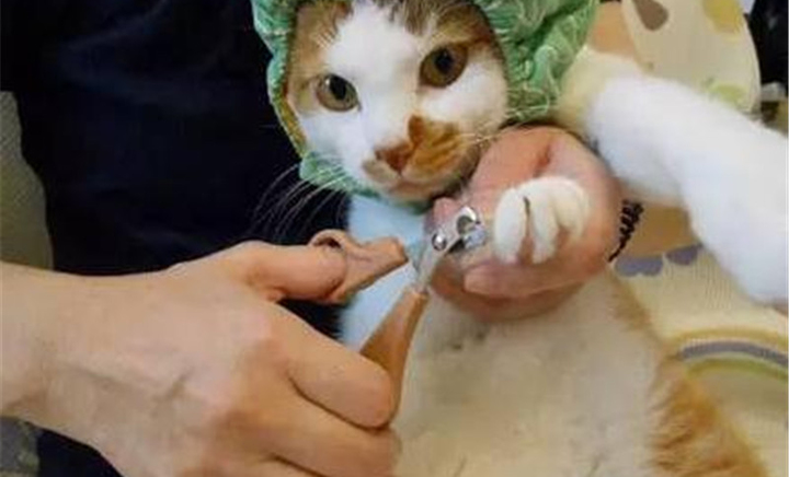 θָףôóϼָףҲõˣ