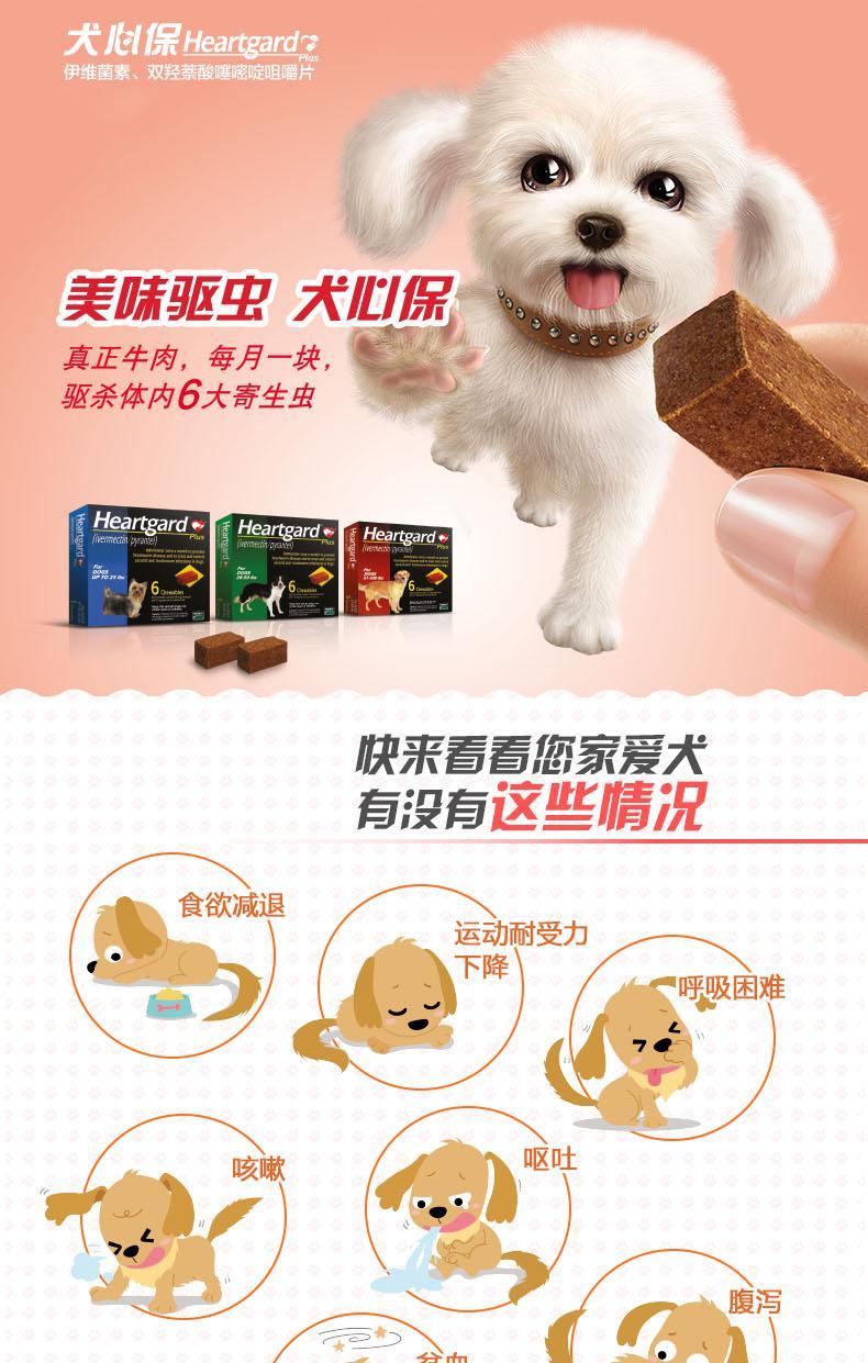 如何给狗狗体内驱虫,记住这几点狗狗不再有烦恼