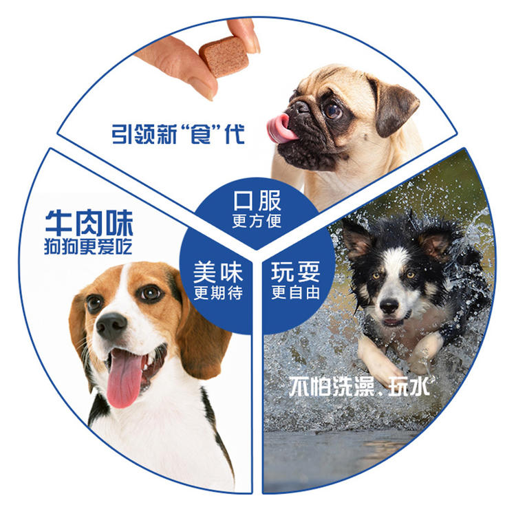 如何给狗狗体内驱虫,记住这几点狗狗不再有烦恼