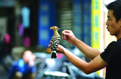 宠物小鸟吃什么?正确饲养宠物鸟的方法