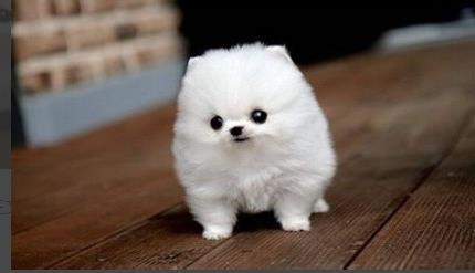 ֪Ĺëصԭ򣬲α겻α