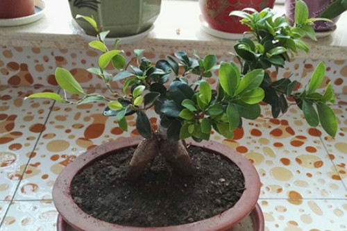 �˲�����ô����ïʢ �ְ��ֽ�������Ư�����˲�������