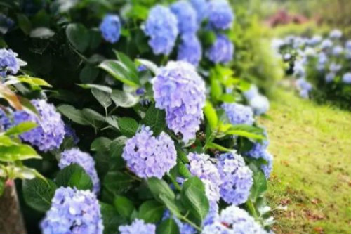 �����ж�����Է��������� �����ж��Ĵ�������һ��Ҫ��