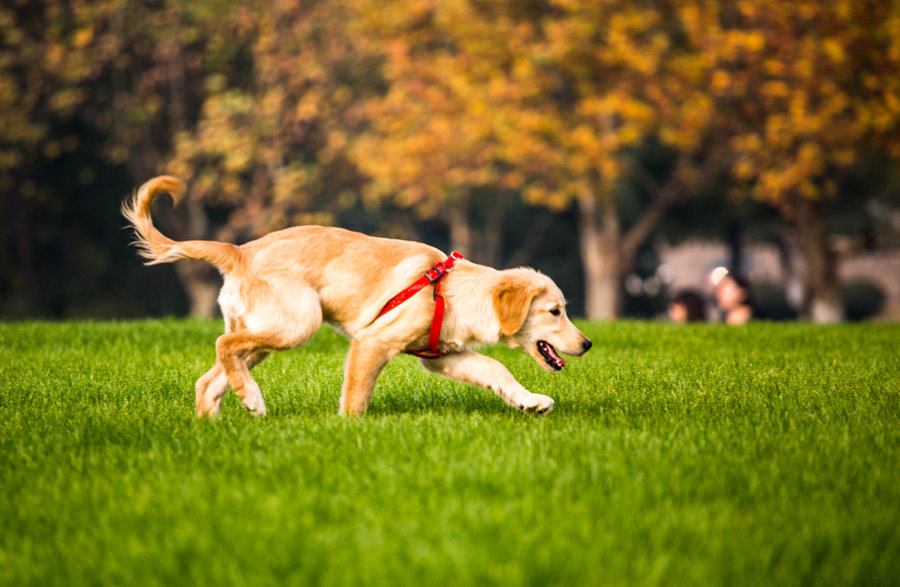 ëȮʲôȱ㣿ϸëȱ㣬̼