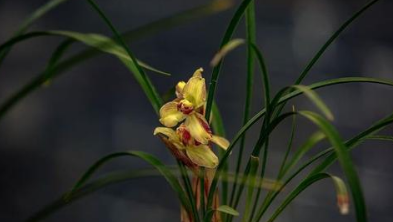 ����������ʲô������ʣ�ףԸ�������տ����Ļ�Ҫ֪��������