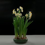 ������ˮ�ɻ���������������ˮ����Ϊ��֪��Ԣ���������ˮ